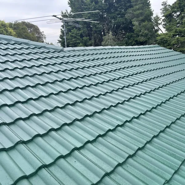 Perth roof with Mid Brunswick Green Dulux Acratex coating