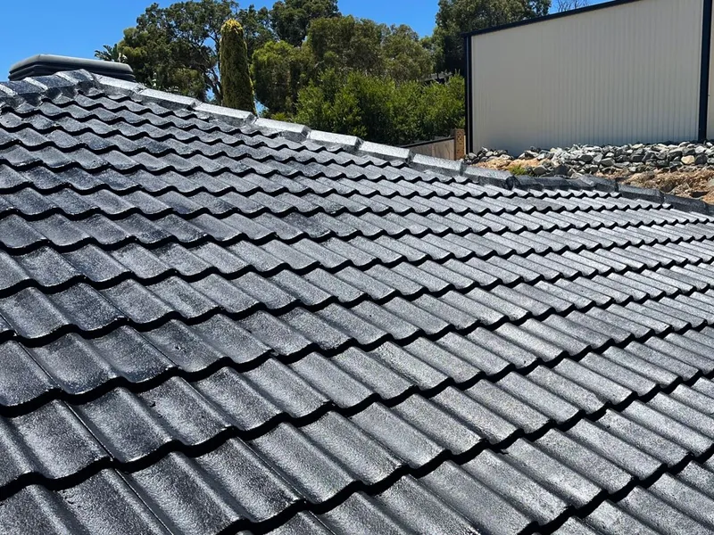 Perth roof with Ebonite Dulux Acratex coating - view 1