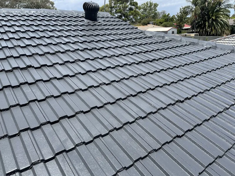 Perth roof with Colorbond Monument Dulux Acratex coating - view 1