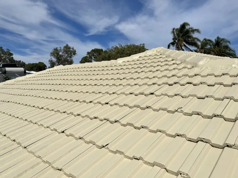 Perth roof with Merino Dulux Acratex coating - view 2