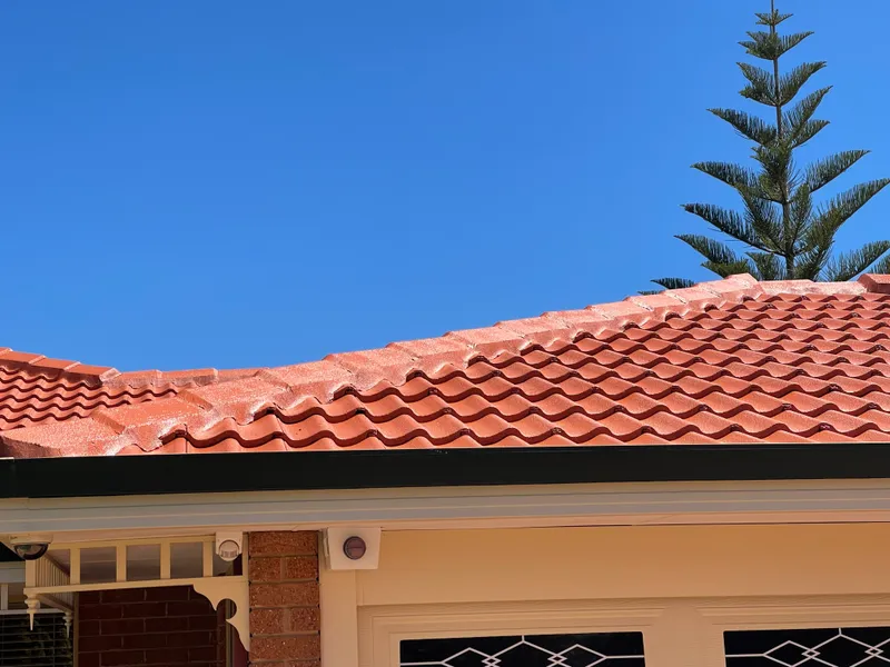 Perth roof with Terracotta Dulux Acratex coating - view 2