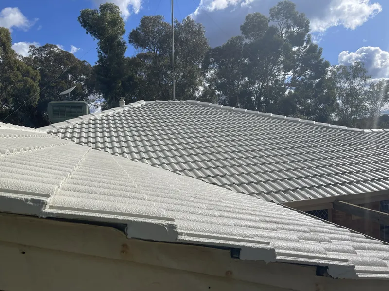 Perth roof with Colorbond Evening Haze Dulux Acratex coating - view 2