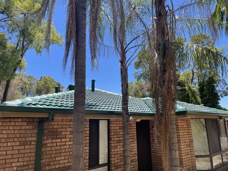 Perth roof with Caulfield Green Dulux Acratex coating - view 3