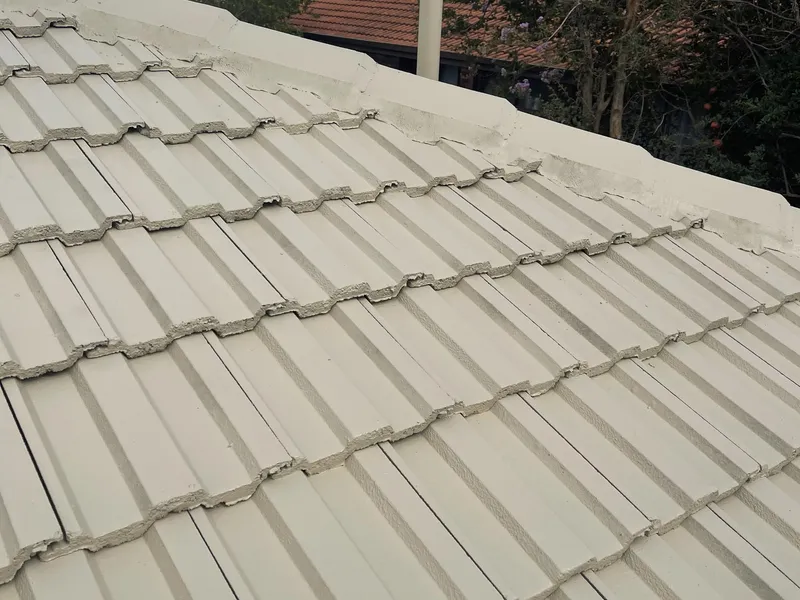 Perth roof with Merino Dulux Acratex coating - view 3