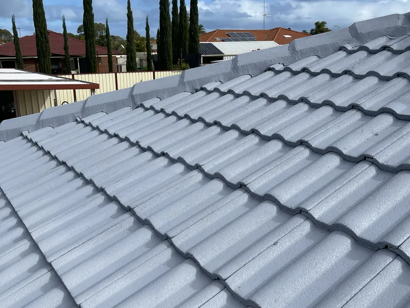 Perth roof with Light Grey Dulux Acratex coating - view 3