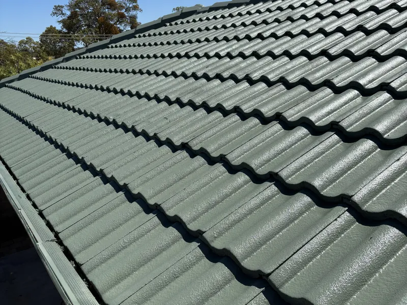 Perth roof with Rivergum Dulux Acratex coating - view 3
