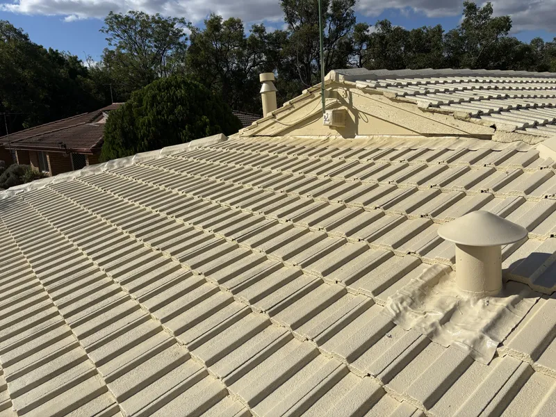 Perth roof with Wheat Dulux Acratex coating - view 3