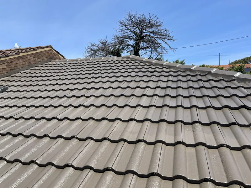 Perth roof with Iron Bark Dulux Acratex coating - view 4