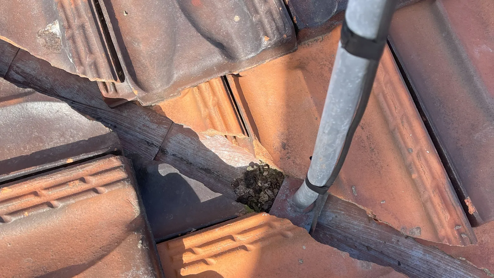 Leak Detection & Repair