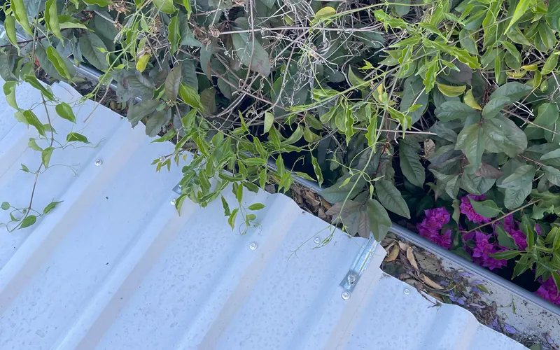 Gutter Cleaning - Professional roofing service in Perth