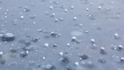 Hailstones on the ground after a heavy Perth storm