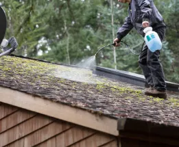 Mould Treatment