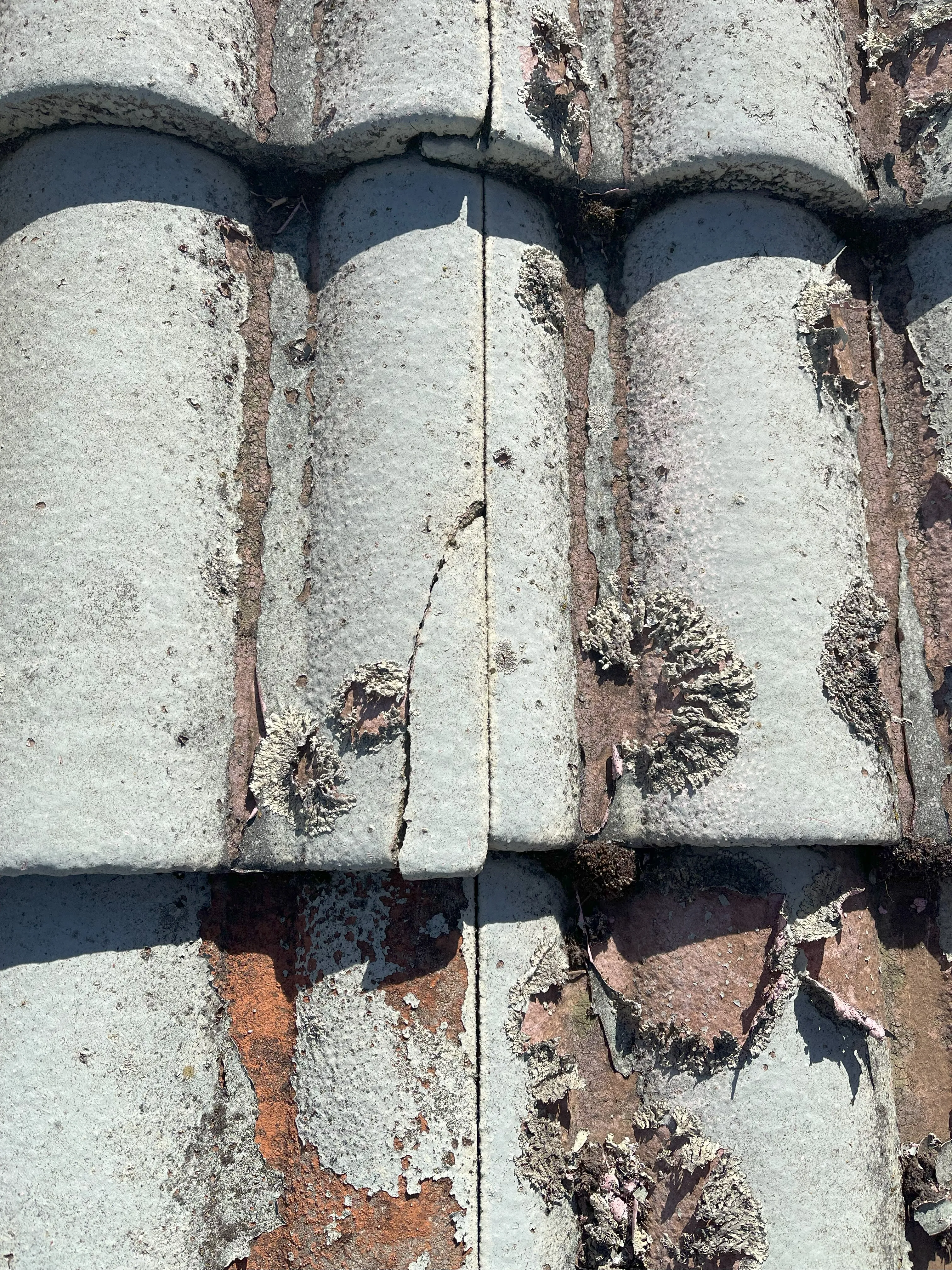 Heritage Roof Restoration
