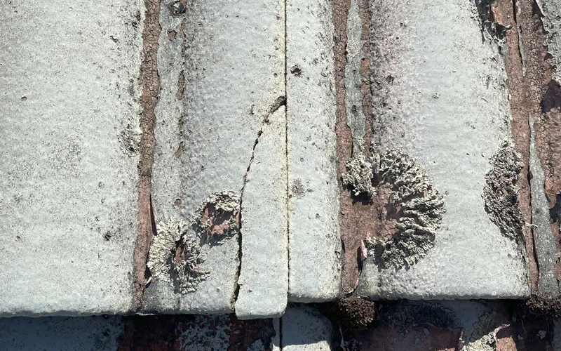 Heritage Roof Restoration - Professional roofing service in Perth