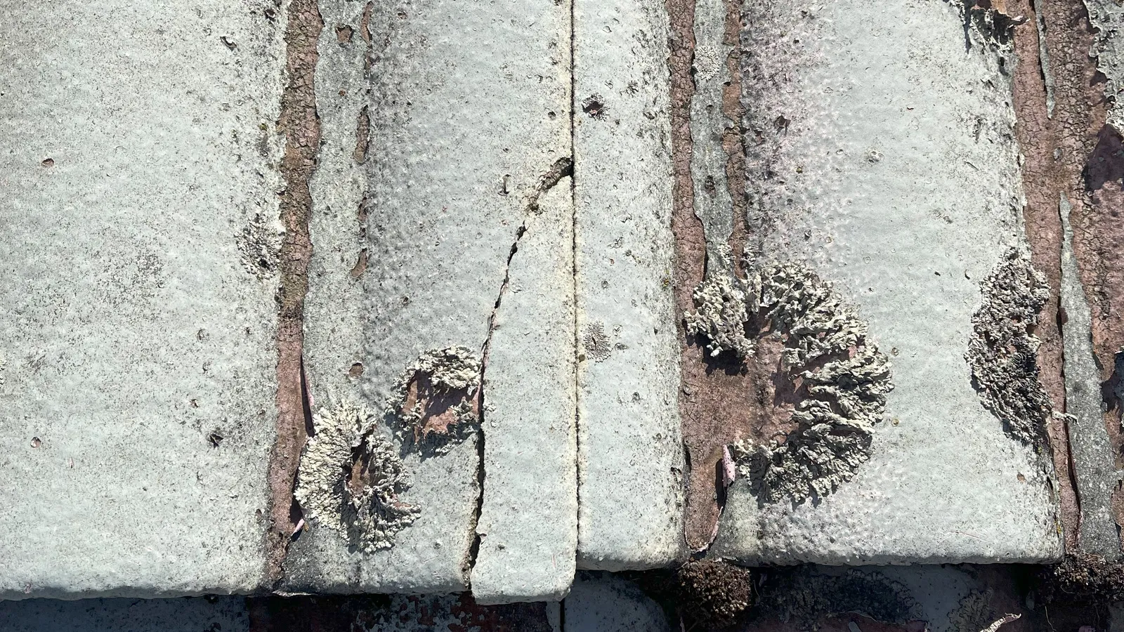 Heritage Roof Restoration