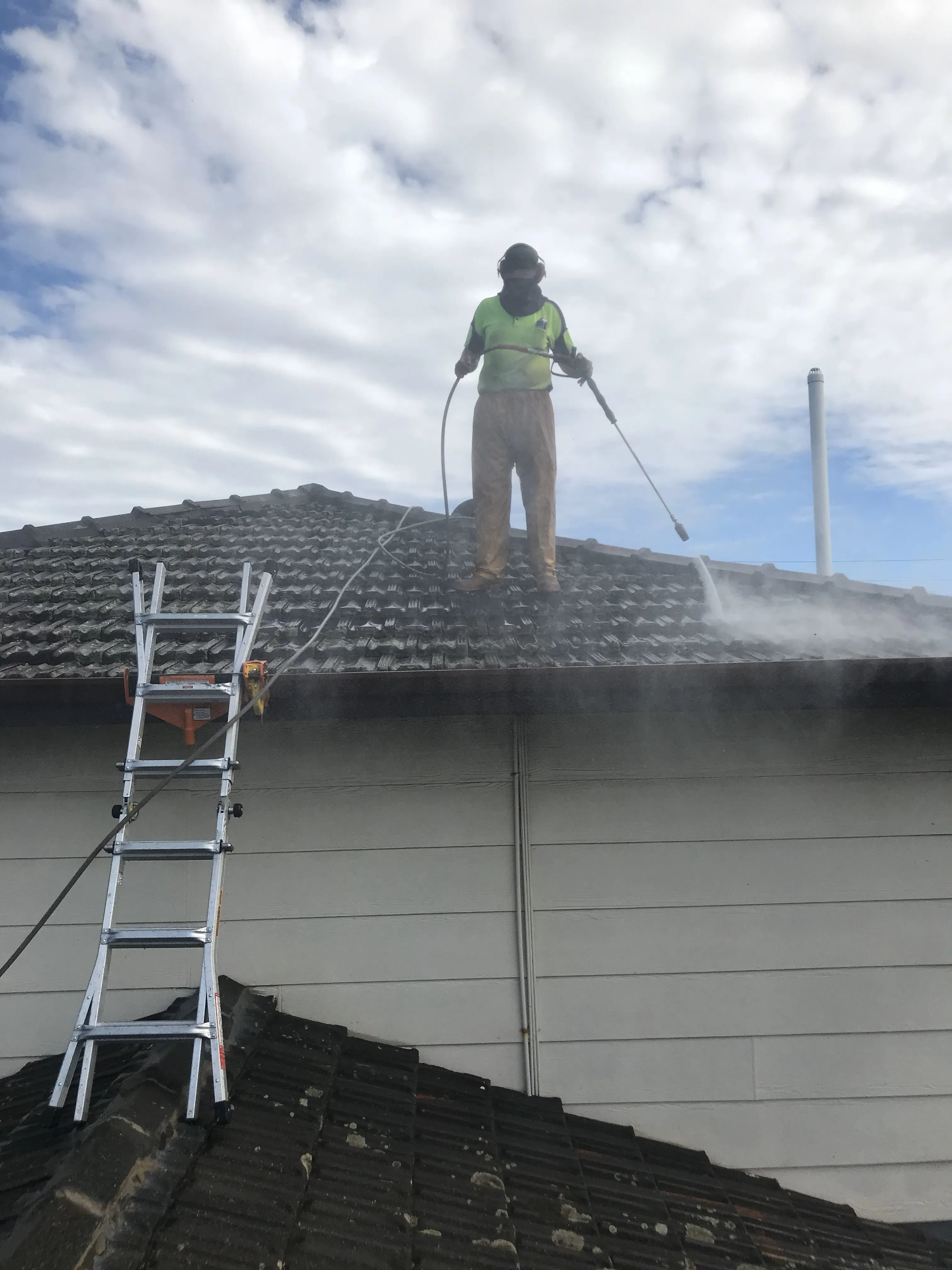 Roof Cleaning