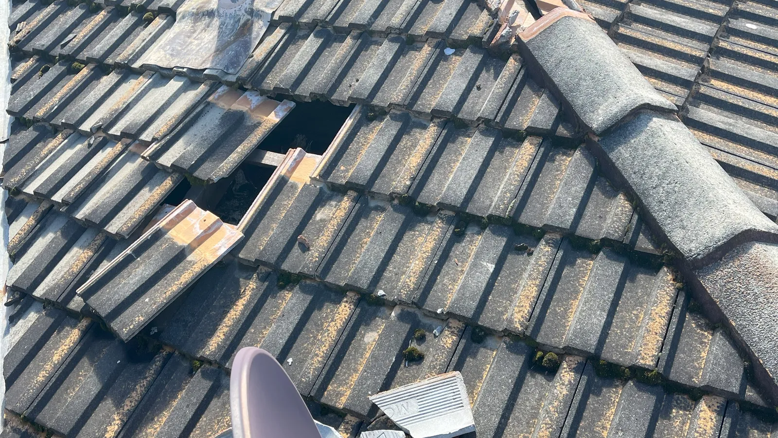 Roof Inspection