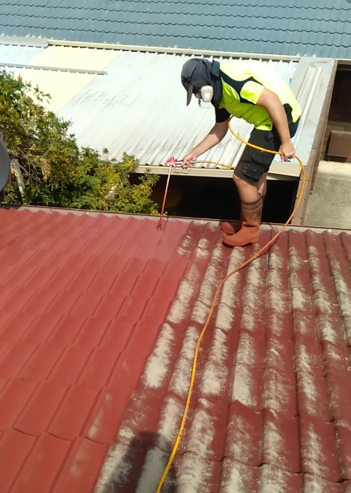 Roof Painting