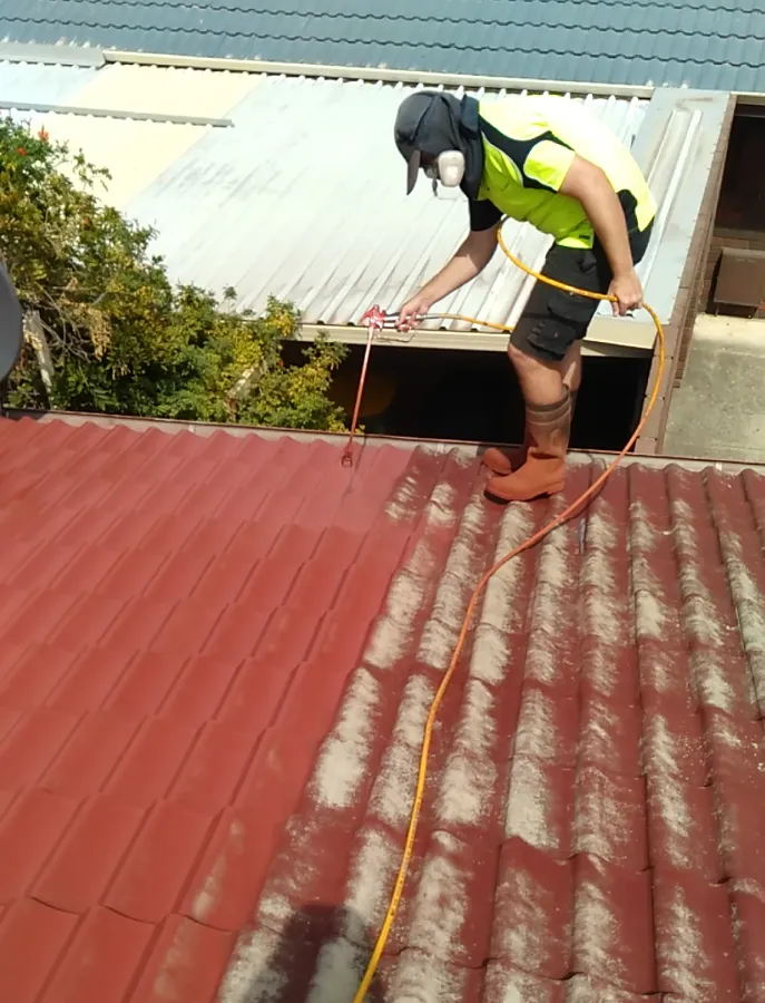 Roof Painting