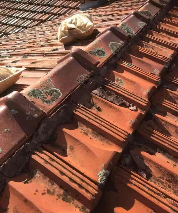 Roof Repair