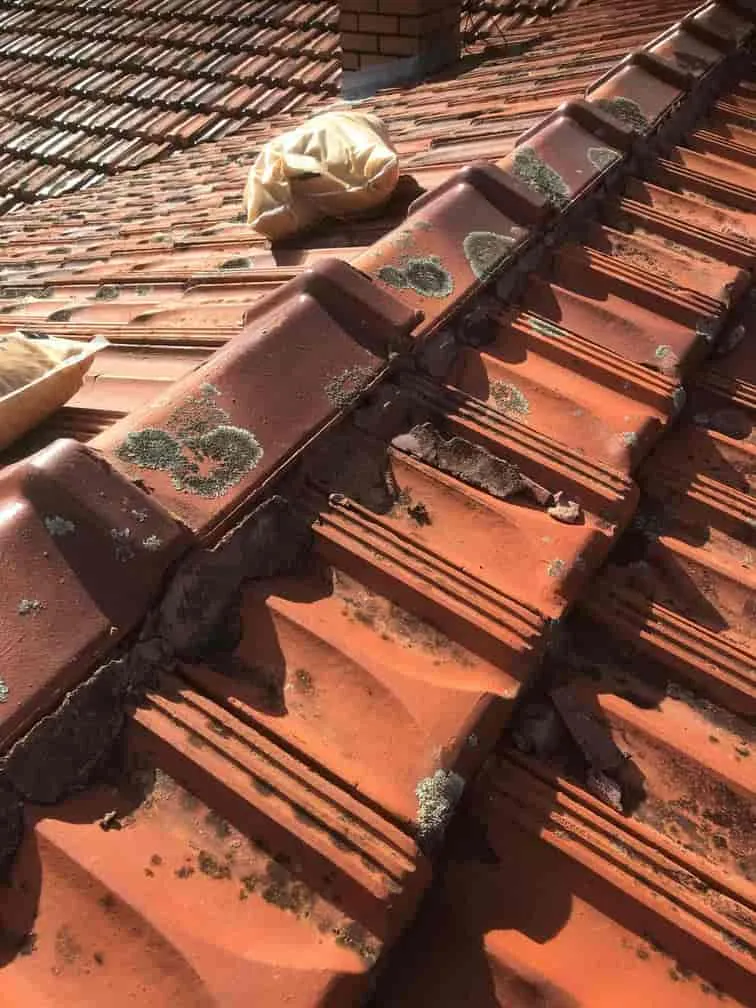 Roof Repair
