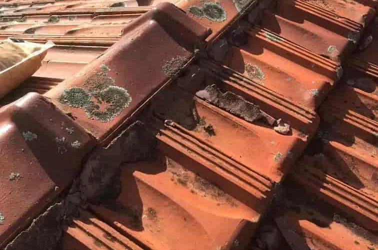 Roof Repair - Professional roofing service in Perth