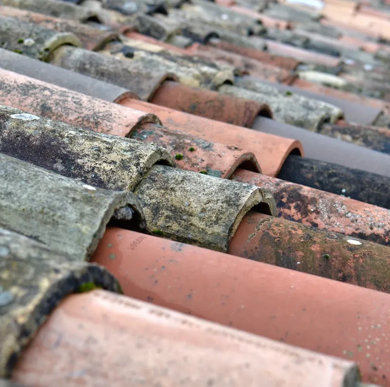 Close-up of roof tiles showing the profile and surface used to identify the brand and type