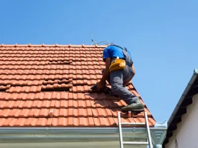 Featured image for: Possums on Your Roof: Damage They Cause and How to Stop Them