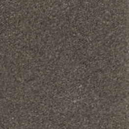 Truffle Starpoint flexible pointing colour
